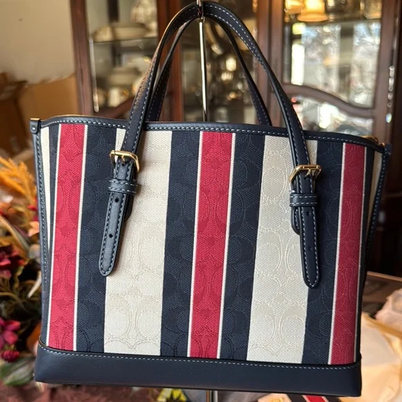 Coach Multicolor Striped Women's Bag - Picture 13 of 16